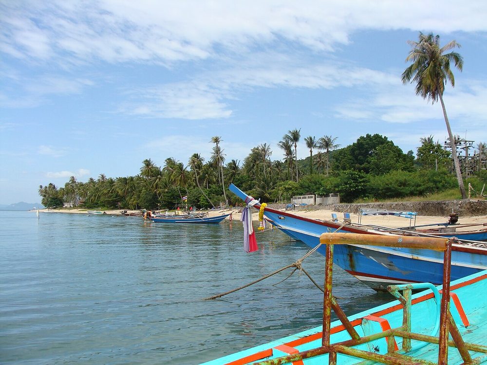 Boats moored by a palm-lined beach in Thailand